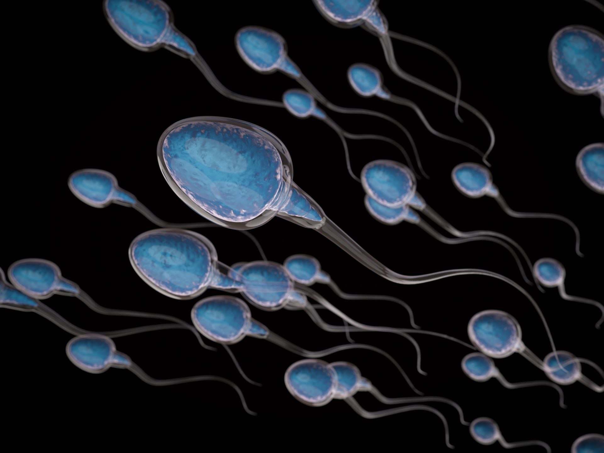 miliony spermii rande pořad